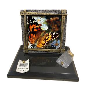 Plaque papillon